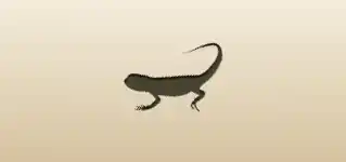 Lizard silhouette