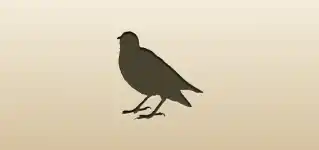 Starling silhouette