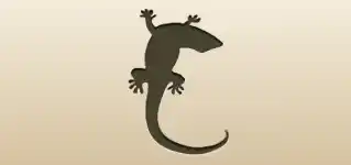 Lizard silhouette