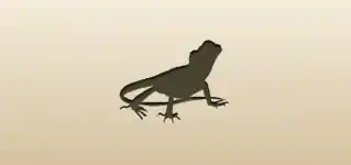 Lizard silhouette
