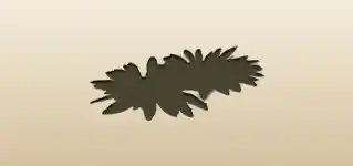 Chamomile silhouette