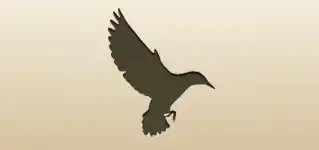 Starling silhouette