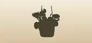 Venus Flytrap silhouette