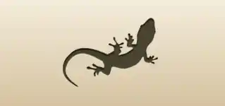 Lizard silhouette