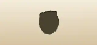 Lion silhouette