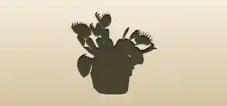 Venus Flytrap silhouette