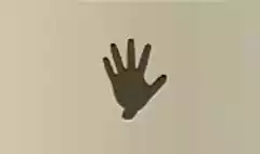 Medical Glove