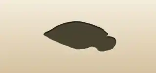Hot Water Bottle silhouette