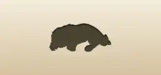 Lion silhouette