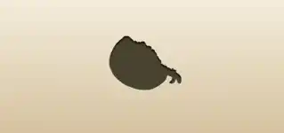 Pomegranate silhouette