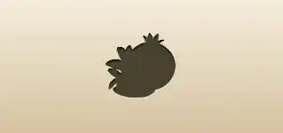 Pomegranate silhouette