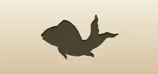 Fish silhouette