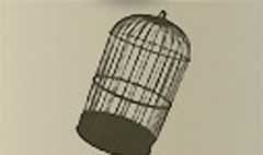 Birdcage silhouette #1