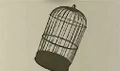 Birdcage