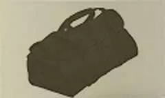 Carpetbag