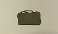 Carpetbag