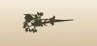 Dried Flowers silhouette