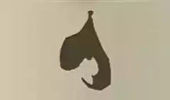 コウモリ
