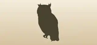 Owl silhouette