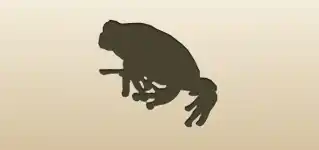 Frog silhouette