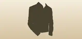 Shirt silhouette