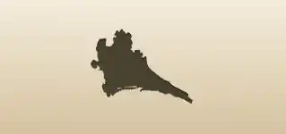 Dried Flowers silhouette