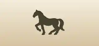Horse silhouette
