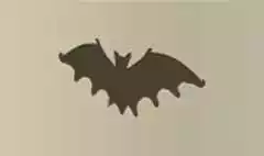 コウモリ