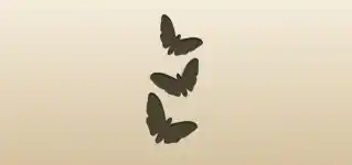 Moths silhouette