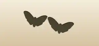 Moths silhouette