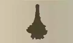 ドライフラワー