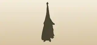 Bat silhouette