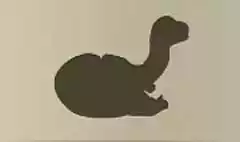 恐竜の卵