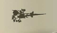Dried Flowers silhouette
