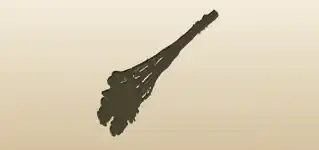Dried Flowers silhouette