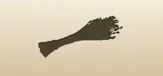 Dried Flowers silhouette