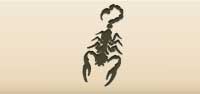 Scorpion silhouette