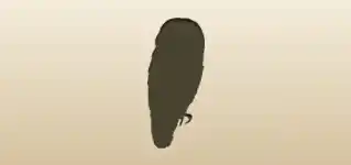 フクロウのシルエット