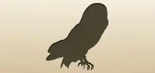 フクロウのシルエット