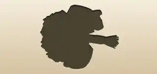 花束のシルエット
