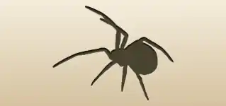 クモのシルエット