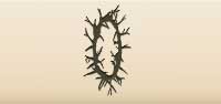 Crown of Thorns silhouette