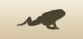 毒ガエルのシルエット