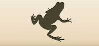 Poisonous Frog silhouette