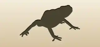 毒ガエルのシルエット