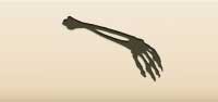 Skeleton Arm silhouette