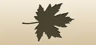 カエデの葉のシルエット
