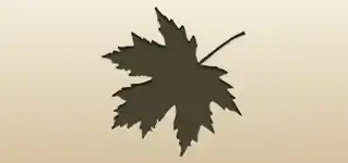 カエデの葉のシルエット