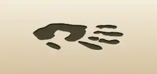 手形のシルエット