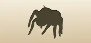 クモのシルエット